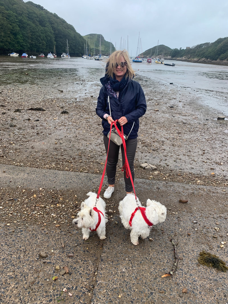 beach in north devon with westies | the new normal september planning