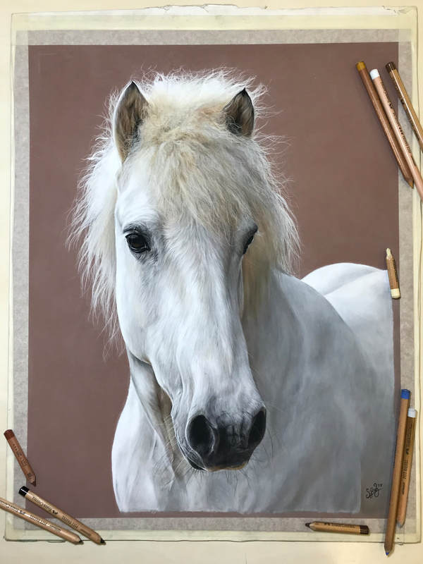 pastel commission of grey horse by sophie fois