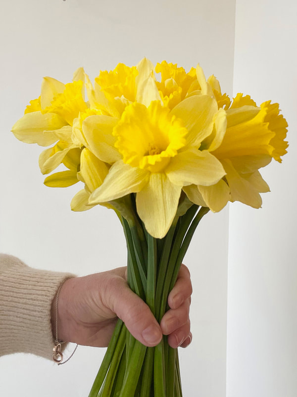 Mothers Day UK | Daffodils