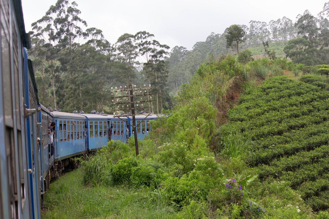 Train in Sri Lanka tea plantations