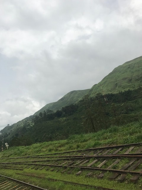 view from train in sri lanka tea plantations
