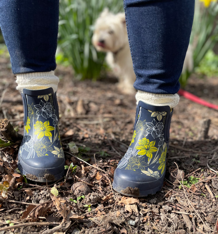 daffodil walk wearing blossom short wellington boot from Hotter
