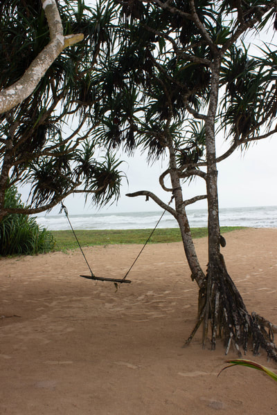 swing on beach sri lanka