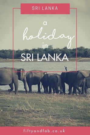 on holiday in sri lanka - Sri Lanka travel