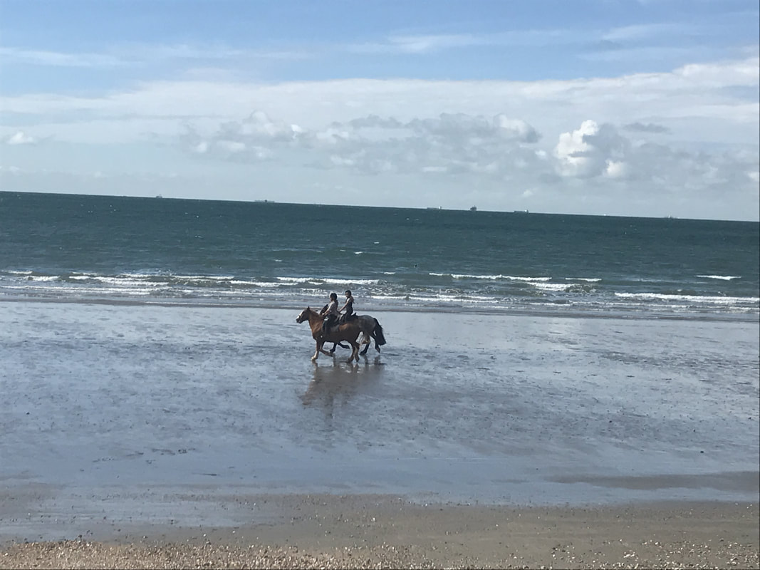horse riders on beach
