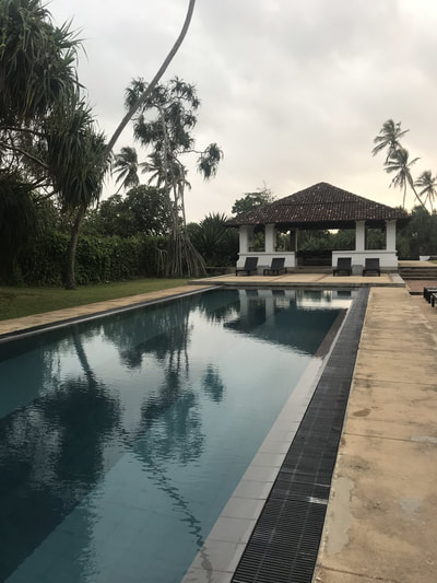 pool at paradise road villa bentota