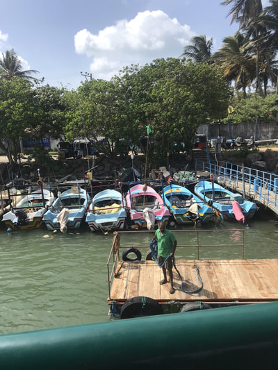 boats at mirissa harbour sri lanka