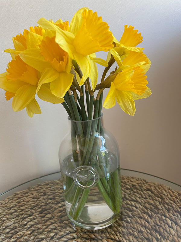 spring daffodils | easter gifts