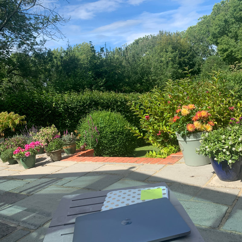 my garden, my work from home set-up