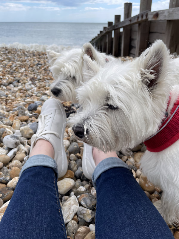 happy place | at the seaside with my two westie dogs