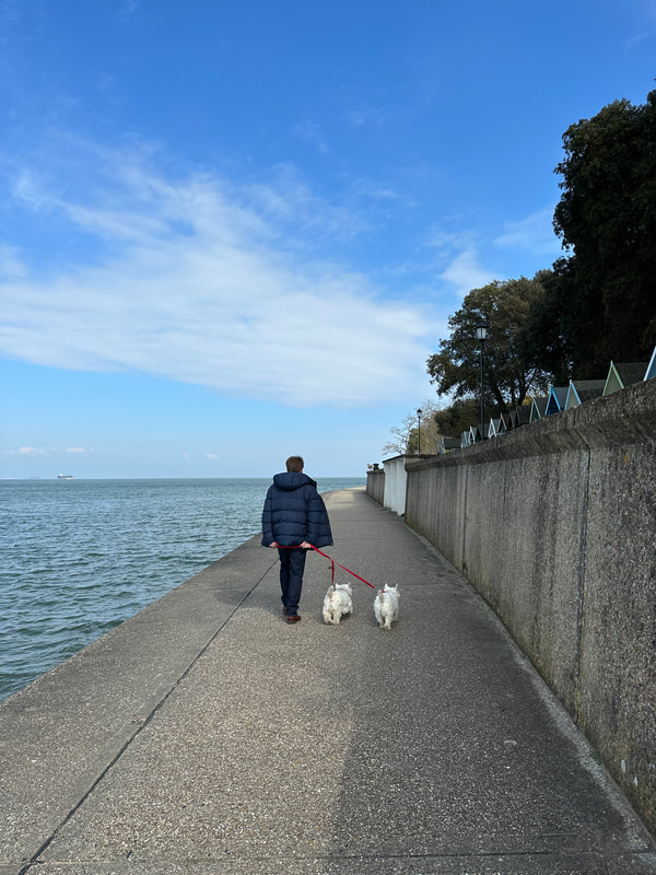 walking along the sea front at ryde on the isle of wight with two westies