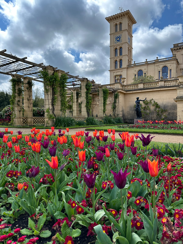 red and purple tulips at osborne house