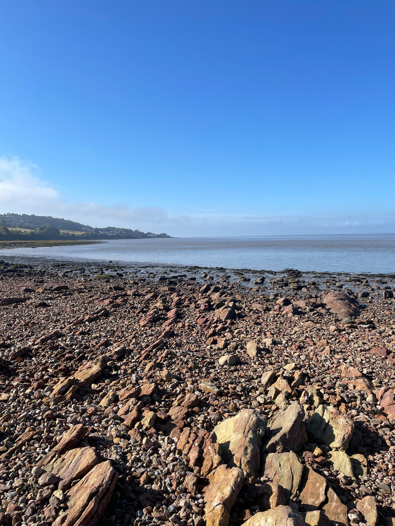 the rocky beach at portishead on the bristol channel