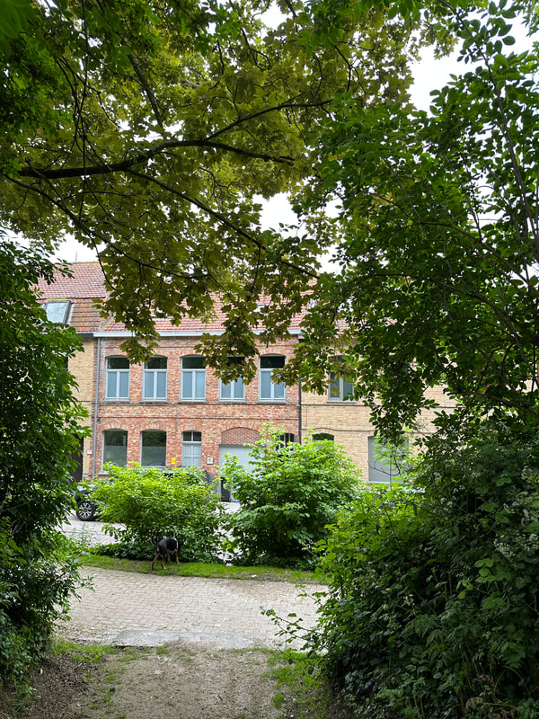 Birdsonghouse is a 4 bedroom townhouse in Ypres, this picture shows the street view looking through the trees.